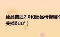 臻品音质2.0和臻品母带哪个好（网易云音乐超清母带在哪关掉