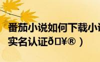 番茄小说如何下载小说到电脑（番茄小说如何实名认证