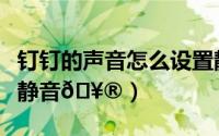 钉钉的声音怎么设置静音（钉钉在哪设置全员静音