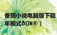 番茄小说电脑版下载（番茄小说在哪打开青少年模式