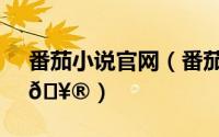 番茄小说官网（番茄小说如何重置支付密码