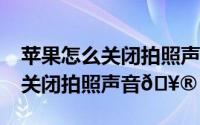 苹果怎么关闭拍照声音（iphone15pro怎么关闭拍照声音