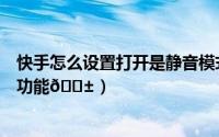 快手怎么设置打开是静音模式（淘宝在哪打开视频播放静音功能
