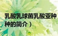 乳酸乳球菌乳酸亚种（关于乳酸乳球菌乳酸亚种的简介）