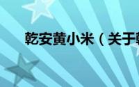 乾安黄小米（关于乾安黄小米的简介）
