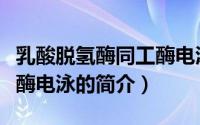 乳酸脱氢酶同工酶电泳（关于乳酸脱氢酶同工酶电泳的简介）