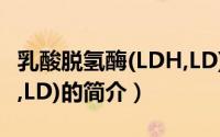 乳酸脱氢酶(LDH,LD)（关于乳酸脱氢酶(LDH,LD)的简介）