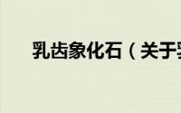 乳齿象化石（关于乳齿象化石的简介）