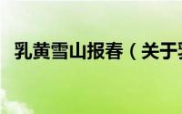 乳黄雪山报春（关于乳黄雪山报春的简介）