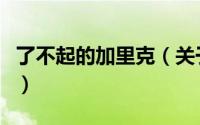 了不起的加里克（关于了不起的加里克的简介）