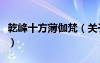 乾峰十方薄伽梵（关于乾峰十方薄伽梵的简介）