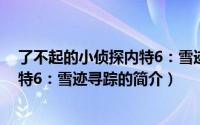 了不起的小侦探内特6：雪迹寻踪（关于了不起的小侦探内特6：雪迹寻踪的简介）