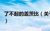 了不起的盖茨比（关于了不起的盖茨比的简介）