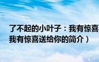了不起的小叶子：我有惊喜送给你（关于了不起的小叶子：我有惊喜送给你的简介）
