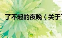 了不起的夜晚（关于了不起的夜晚的简介）
