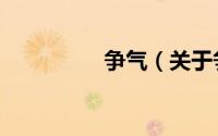 争气（关于争气的简介）