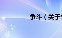 争斗（关于争斗的简介）