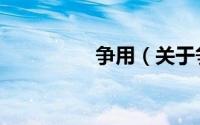 争用（关于争用的简介）