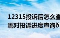 12315投诉后怎么查询进度（铁路12306在哪对投诉进度查询