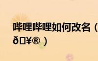 哔哩哔哩如何改名（哔哩哔哩如何进行认证