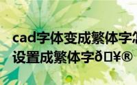 cad字体变成繁体字怎么办（爱奇艺字体怎么设置成繁体字