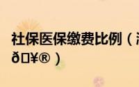 社保医保缴费比例（湘医保在哪缴纳社保费用