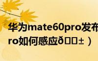 华为mate60pro发布会官宣（华为Mate60Pro如何感应