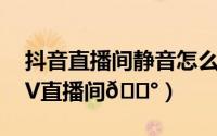 抖音直播间静音怎么打开（抖音在哪打开KTV直播间