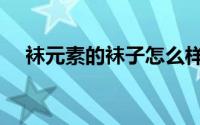 袜元素的袜子怎么样（丝袜什么材质好）