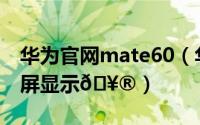 华为官网mate60（华为Mate60怎么开启息屏显示