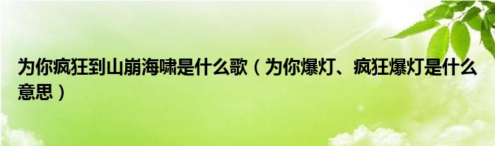 为你疯狂到山崩海啸是什么歌（为你爆灯、疯狂爆灯是什么意思）