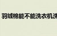 羽绒棉能不能洗衣机洗（羽绒棉可以机洗吗）