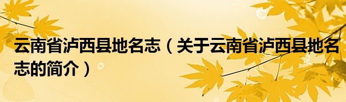 云南省泸西县地名志（关于云南省泸西县地名志的简介）