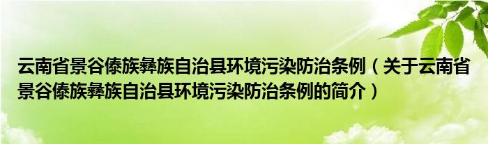 云南省景谷傣族彝族自治县环境污染防治条例（关于云南省景谷傣族彝族自治县环境污染防治条例的简介）