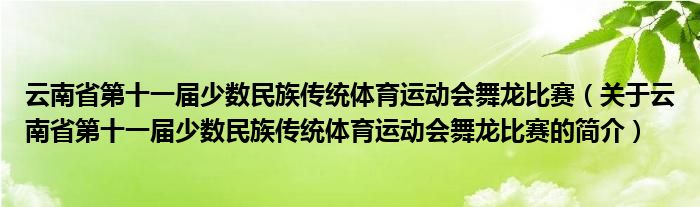 云南省第十一届少数民族传统体育运动会舞龙比赛（关于云南省第十一届少数民族传统体育运动会舞龙比赛的简介）