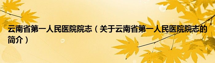 云南省第一人民医院院志（关于云南省第一人民医院院志的简介）