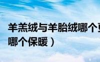 羊羔绒与羊胎绒哪个更暖和（羊羔绒和羊胎绒哪个保暖）