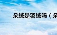 朵绒是羽绒吗（朵绒和绒丝的区别）