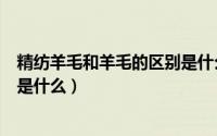 精纺羊毛和羊毛的区别是什么意思（精纺羊毛和羊毛的区别是什么）