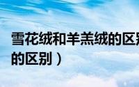 雪花绒和羊羔绒的区别图片（雪花绒和羊羔绒的区别）