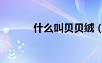 什么叫贝贝绒（什么是贝贝绒）