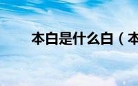 本白是什么白（本白布是什么意思）