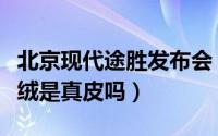 北京现代途胜发布会（西施绒是什么材质西施绒是真皮吗）