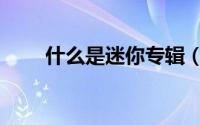 什么是迷你专辑（什么是米尼面料）