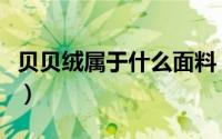 贝贝绒属于什么面料（叙纹棉和贝贝绒哪个好）