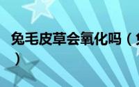 兔毛皮草会氧化吗（兔毛皮草被染色了怎么办）