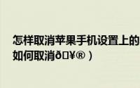 怎样取消苹果手机设置上的小红点（iPhone15小红点标记如何取消