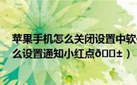 苹果手机怎么关闭设置中软件更新的小红点（iPhone15怎么设置通知小红点