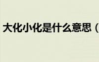 大化小化是什么意思（什么叫大化中化小化）