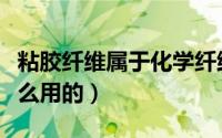 粘胶纤维属于化学纤维吗（黏胶短纤维是干什么用的）